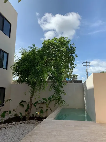 Foto 19