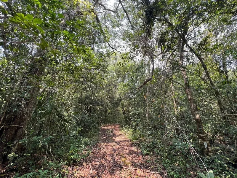 Lote en venta · Puerto Morelos, Quintana Roo