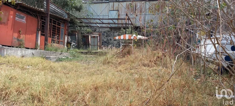 Foto 10