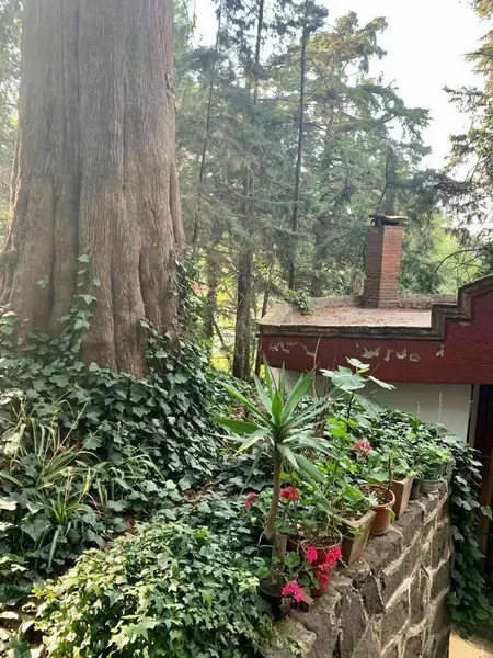 Foto 14