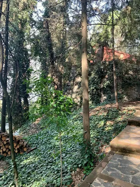 Foto 13