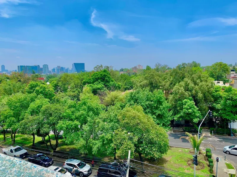 Comercio en alquiler · Lomas de Chapultepec I Sección, Lomas de Chapultepec, Chapultepec, Miguel Hidalgo, Ciudad de México Comercio en alquiler · Lomas de Chapultepec I Sección, Lomas de Chapultepec, Chapultepec, Miguel Hidalgo, Ciudad de México