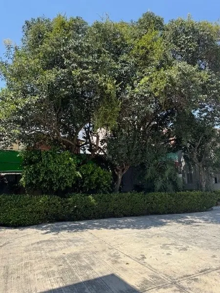 Bodega en alquiler · Santa Fe, Álvaro Obregón, Ciudad de México