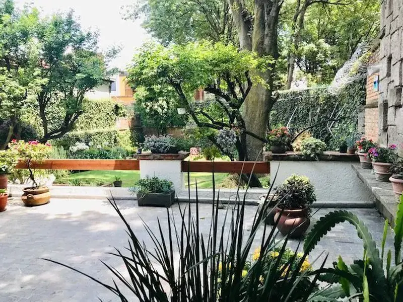 Foto 15
