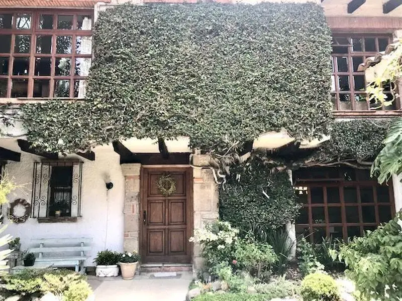 Foto 20