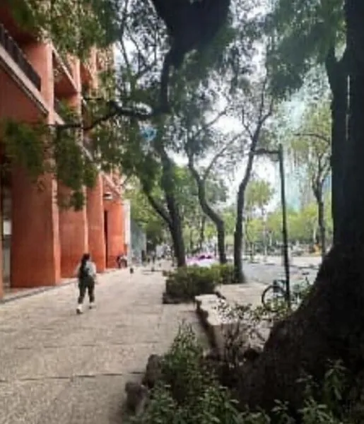 Comercio en renta · Tabacalera, Cuauhtémoc, Ciudad de México