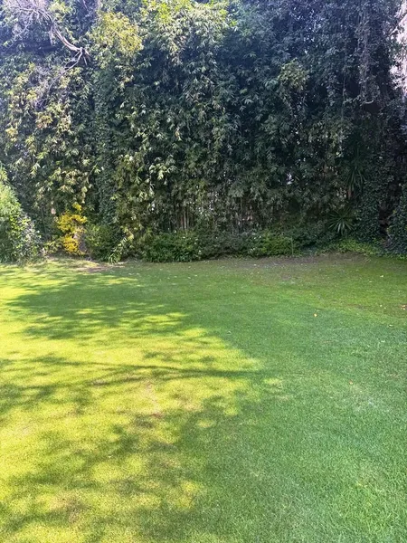 Foto 22