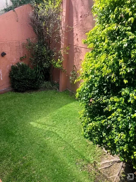 013 jardin.JPG