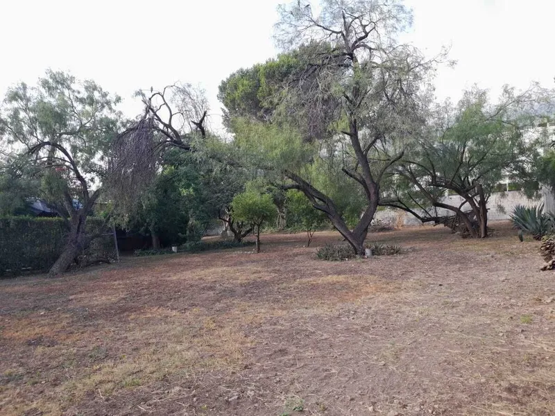 Lote en venta · Palo Blanco, San Pedro Garza García, Nuevo León