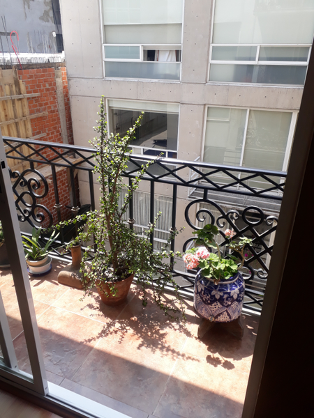 Foto 10