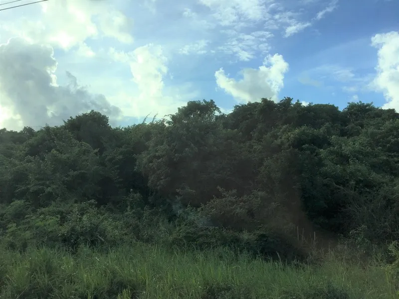Foto 7