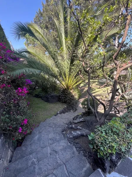 Casa en venta · Jardines del Pedregal, Álvaro Obregón, Ciudad de México Casa en venta · Jardines del Pedregal, Álvaro Obregón, Ciudad de México