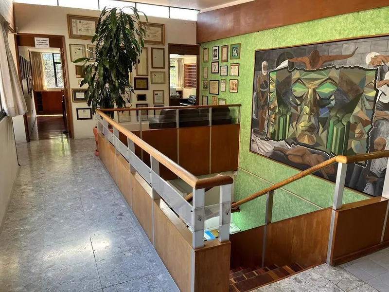 Foto 10