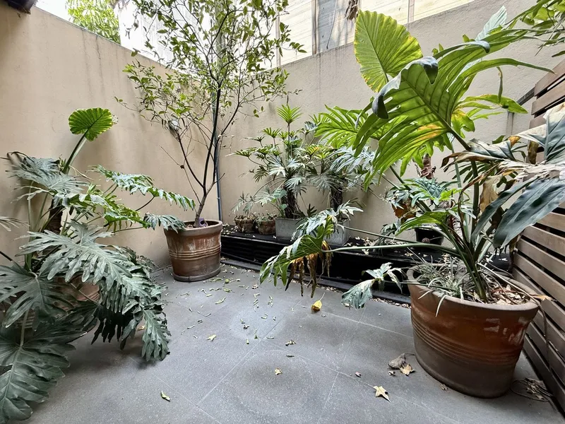 Foto 19