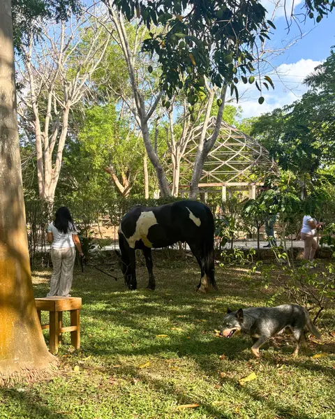 Casa en venta · San Antonio Tehuitz, Kanasín, Yucatán