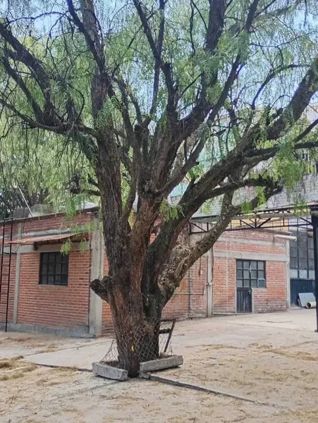 Foto 7