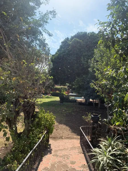 Foto 10