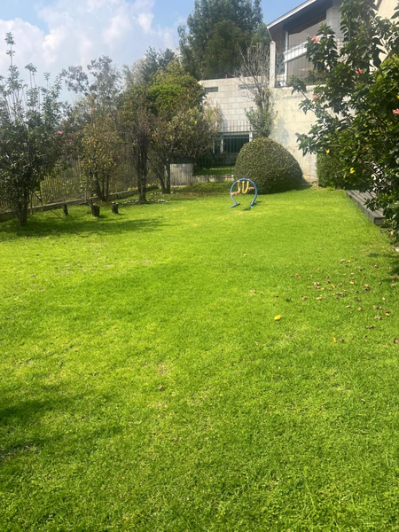 Foto 10