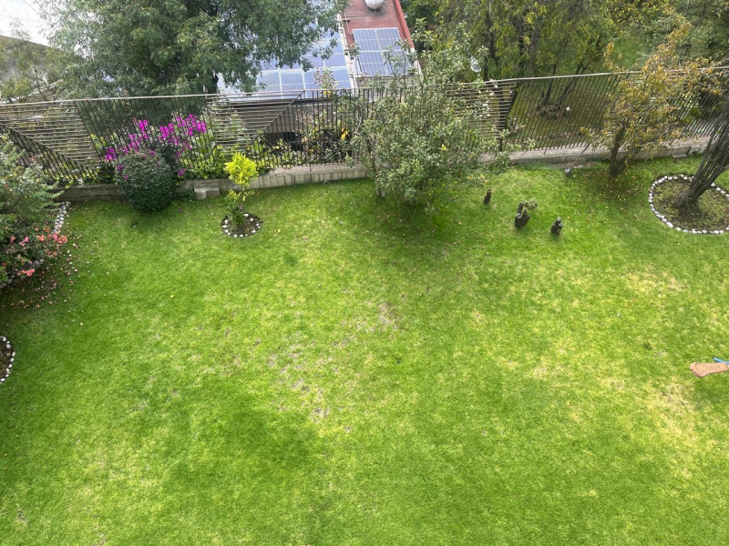 Foto 7