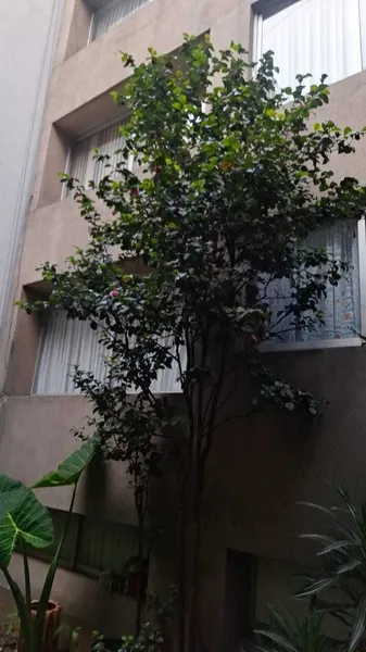 Departamento en venta · Del Valle Sur, Del Valle, Benito Juárez, Ciudad de México Departamento en venta · Del Valle Sur, Del Valle, Benito Juárez, Ciudad de México