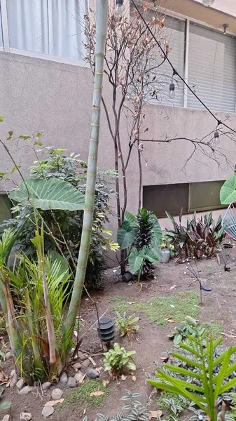 Departamento en venta · Del Valle Sur, Del Valle, Benito Juárez, Ciudad de México Departamento en venta · Del Valle Sur, Del Valle, Benito Juárez, Ciudad de México