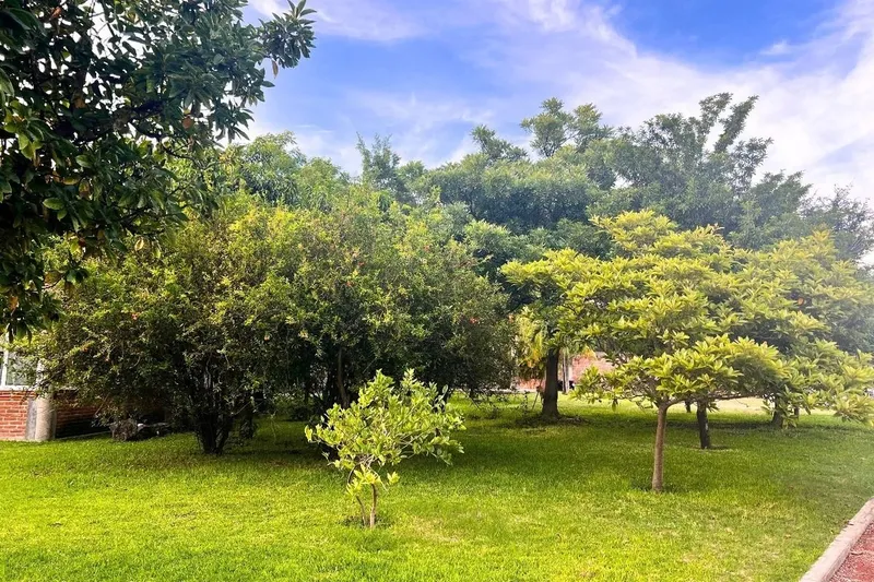 Foto 16