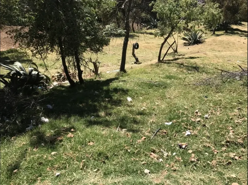 Foto 6