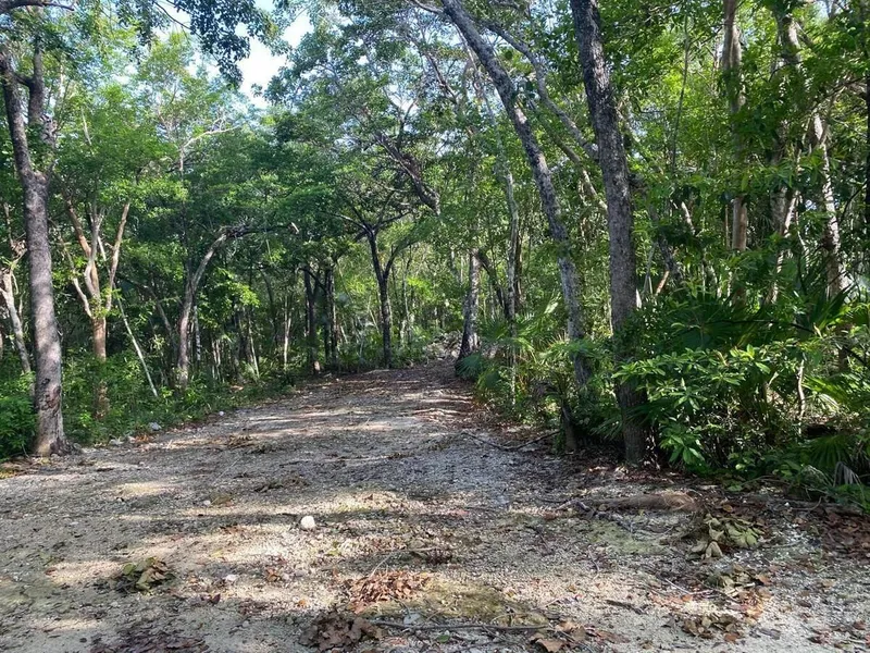 Lote en venta · La Veleta, Tulum, Quintana Roo