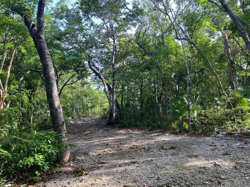 Lote en venta · La Veleta, Tulum, Quintana Roo