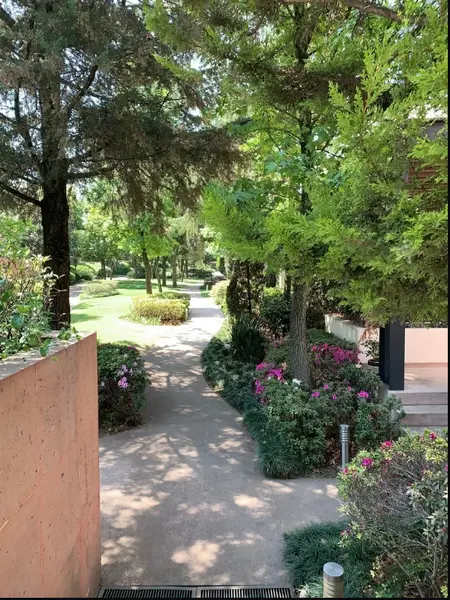 Foto 37