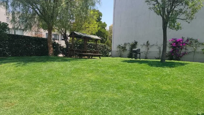 Foto 45