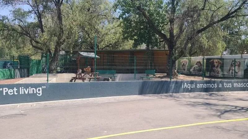 Foto 23