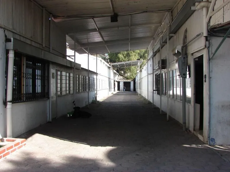 Foto 4