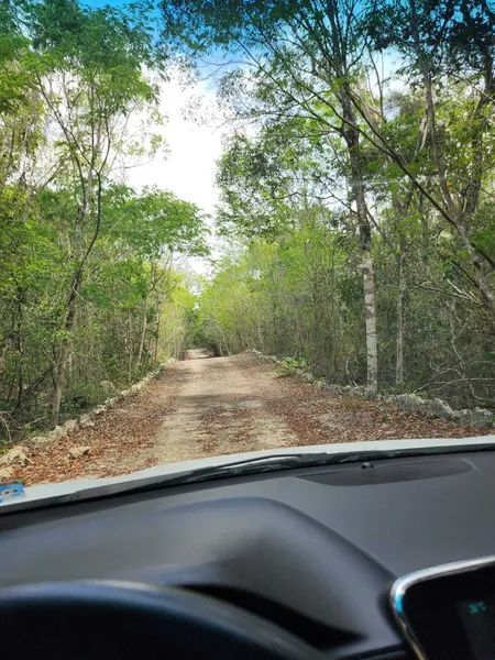 Lote en venta · Tulum, Quintana Roo Lote en venta · Tulum, Quintana Roo