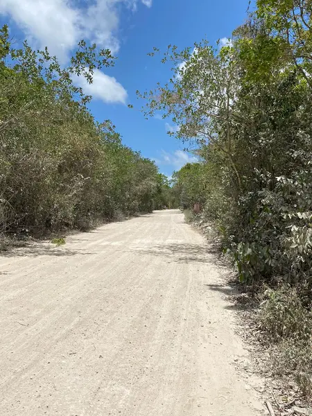 Lote en venta · Juárez, Cancún, Benito Juárez, Quintana Roo Lote en venta · Juárez, Cancún, Benito Juárez, Quintana Roo