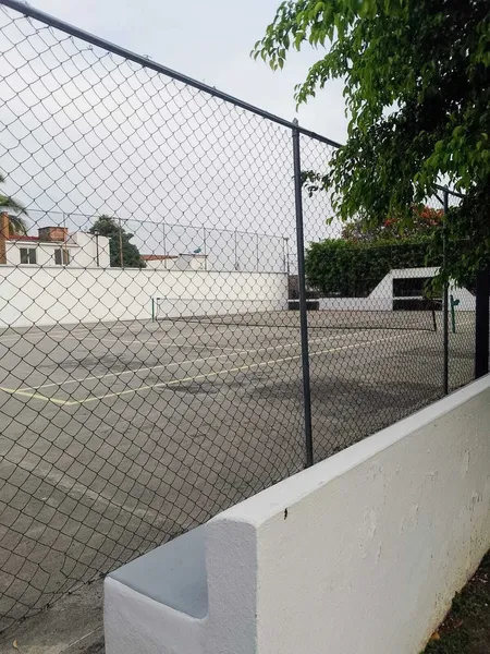 Foto 6