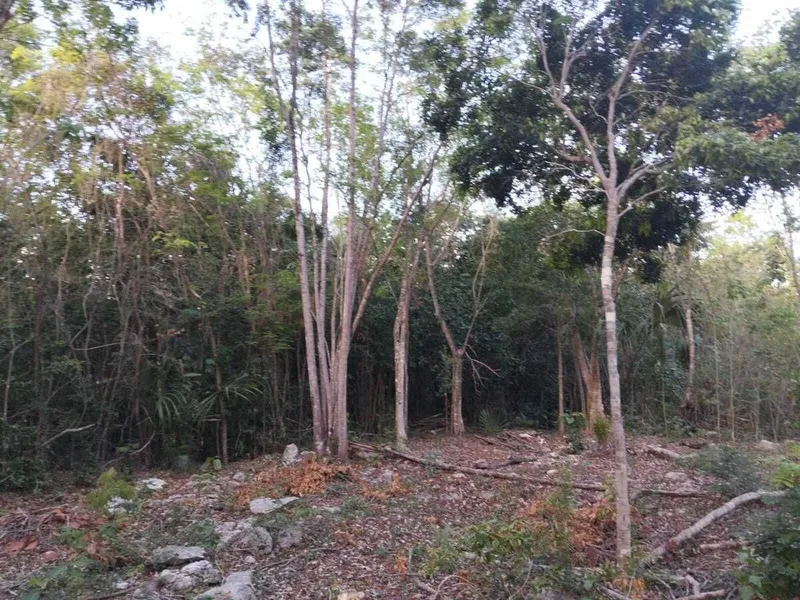 Lote en venta · Playa del Carmen, Solidaridad, Quintana Roo