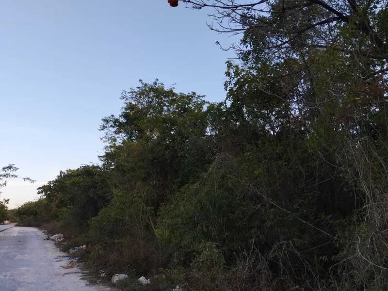 Lote en venta · Playa del Carmen, Solidaridad, Quintana Roo