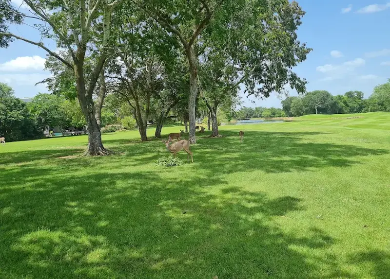 Lote en venta · Yucatán Country Club, Mérida, Yucatán