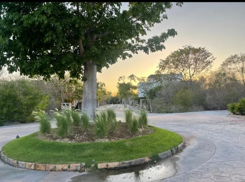 Foto 14