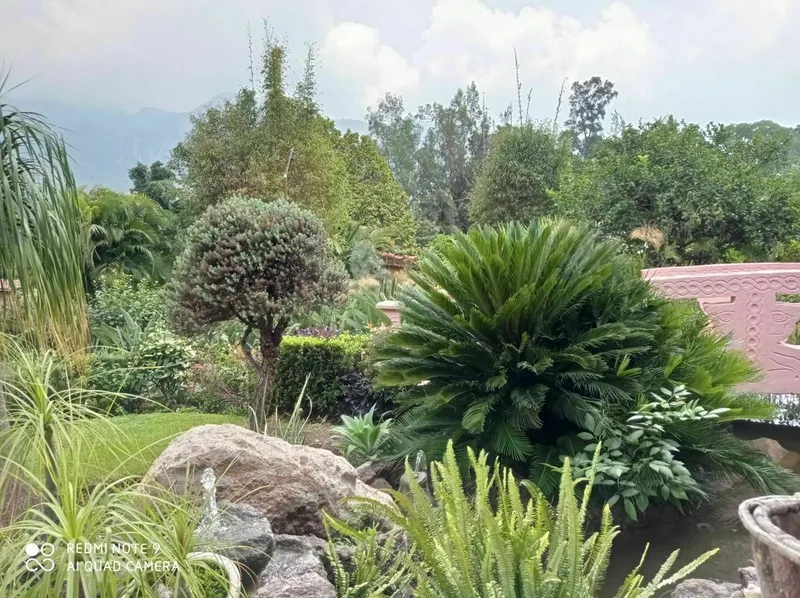 Foto 35