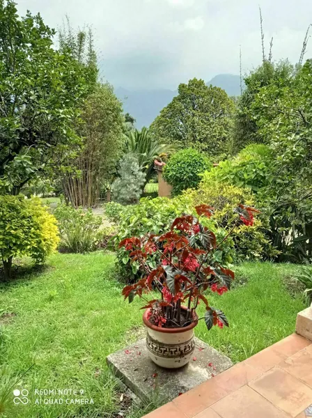 Foto 43