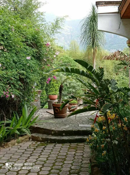 Foto 33