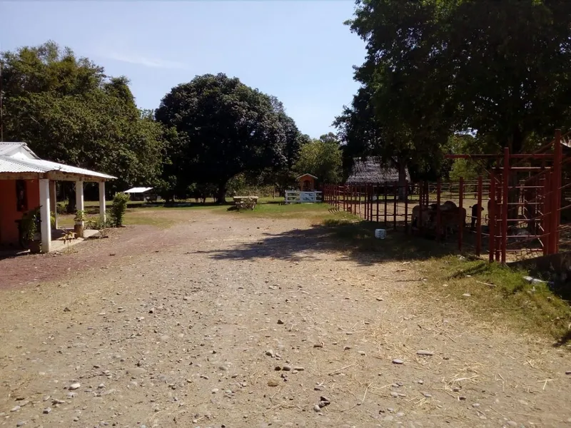Foto 12