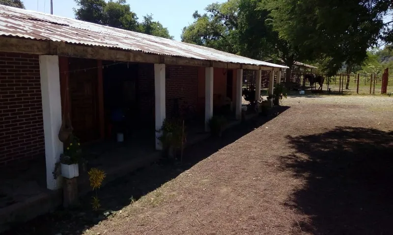 Foto 14