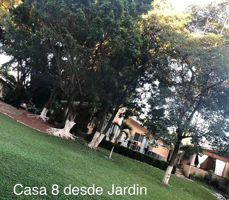 Foto 10