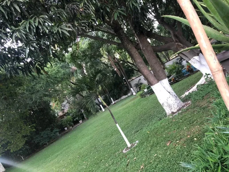 Foto 7