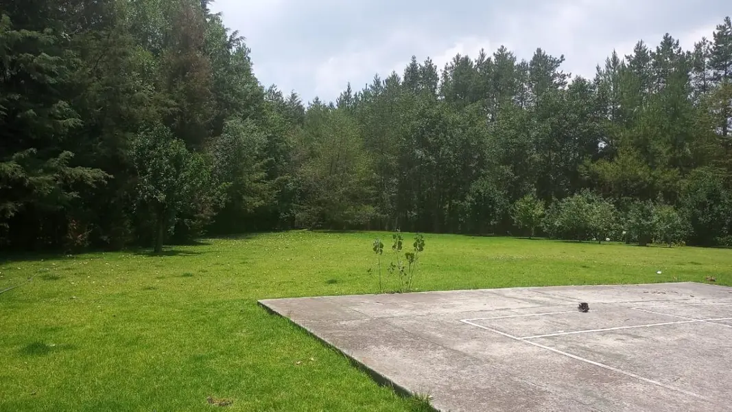 Foto 45