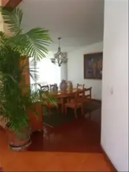 Foto 21