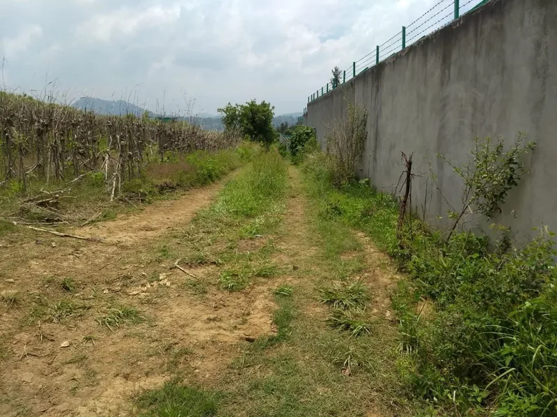 Lote en venta · Tepetlixpa, Tepetlixpa, Estado de México